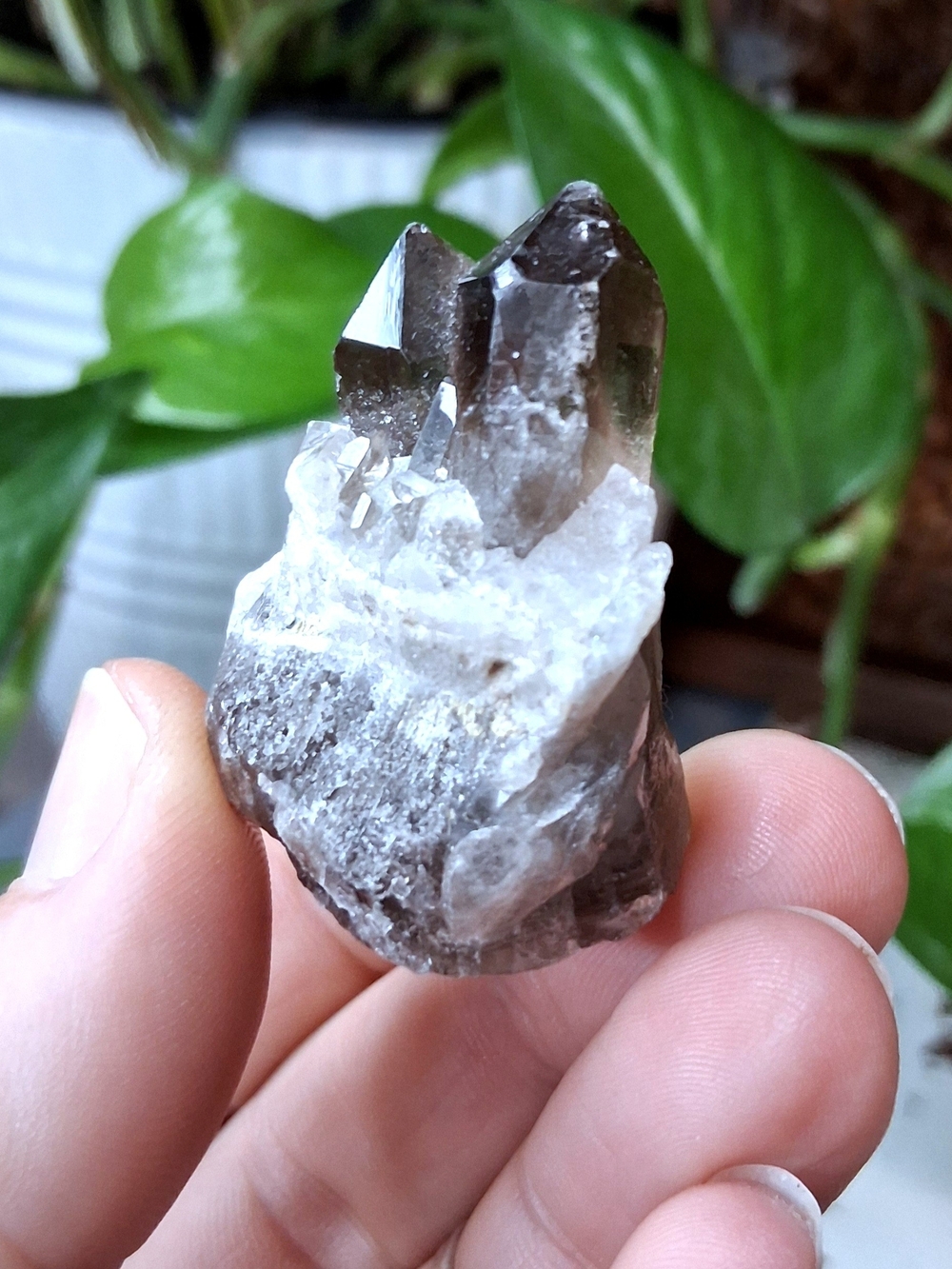 Smoky Quartz Crystal Cluster - Natural Gray and White Home Accent